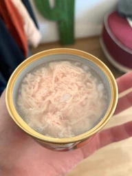 Влажный корм для кошек GimCat Shiny Cat in Jelly 70 г, с курицей
