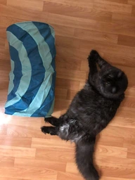 Тунель Trixie для котів ігровий текстиль 25х50 см рожевий 1111115586 фото від покупців 1