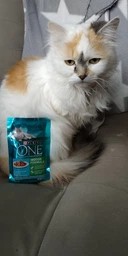 Вологий корм Purina One Indoor Formula для котів, тунець і зелена квасоля в соусі 85г.(7613038255903) фото від покупців 19