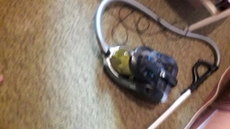 Пылесос без мешка ROWENTA X-Trem Power Cyclonic RO6984EA 4AAAA Ecomotor фото от покупателей 4