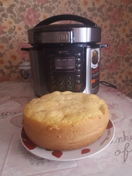 Мультиварка-скороварка REDMOND RMC-PM381