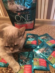 Сухой корм для взрослых стерилизованных кошек Purina One Sterilcat с говядиной 1.4 кг (8445291792401) фото от покупателей 2