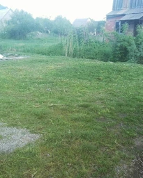 Триммер Bosch EasyGrassCut 26 (06008C1J01) фото от покупателей 6