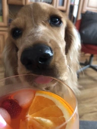 Аперитив Aperol Aperetivo 1 л 11% (8002230000012) фото от покупателей 13