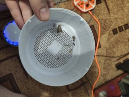 Знищувач комах UV лампа-пастка від комарів з вентилятором, безшумна, USB, для дому та вулиці фото від покупців 3