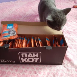 Влажный корм Пан Кот для кошек индейка в соусе 100 г фото от покупателей 8