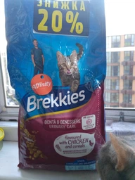 Сухий корм Brekkies Cat Urinary Care для кішок, профілактика сечокам'яної хвороби з куркою 1 кг (на вагу) фото від покупців 1