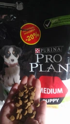 Сухой корм PRO PLAN Medium Puppy Healthy Start для щенков средних пород, с курицей 12 кг фото от покупателей 7
