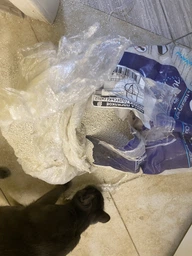 Наполнитель для кошачьего туалета Van Cat Premium Cat Litter Бентонитовый комкующий 20 кг (24 л) (8699245858518) (8699245858594) фото от покупателей 7