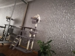 Ігровий комплекс (дряпка), будиночок для кота 140х75×40 см Avko CatTree сіра 1950 - кілька платформ для лазання та ігор, будиночок для відпочинку, лежак фото від покупців 12