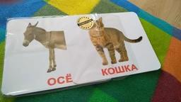 Домашні тварини. Картки Домана. Вундеркінд з пелюшок. Ламіновані