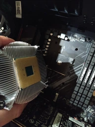 AMD Ryzen 5 3600X (100-100000022BOX)
