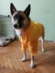 Куртка-дощовик для собак Noble Pet Moss Blue 7XL (M4106/7XL)