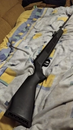 Гвинтівка пневматична Beeman Black Bear 1032 4.5 мм (14290720) фото від покупців 3