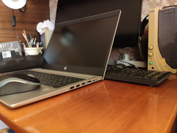 Ноутбук HP ProBook 455 G7 (7JN03AV_V4) Pike Silver фото от покупателей 2