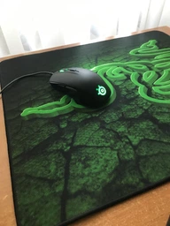 Миша SteelSeries Rival 110 USB Black (SS62466) фото від покупців 9