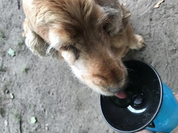 Дорожная бутылка поилка с чашей для собак Аqua Dog Голубой фото от покупателей 3