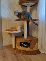 Будиночок когтеточка для кота дряпка для кішки Мур-Мяу Лапка 52x75x120 см в сизалевій мотузці Світло-бежевий темно-коричневий фото від покупців 2