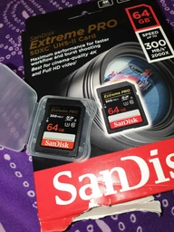 Карта пам'яті SANDISK 64GB SDXC class 10 UHS-II 4K Extreme Pro (SDSDXPK-064G-GN4IN) фото від покупців 1