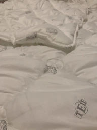 Одеяло Balak home зимнее Dream Collection Cotton 180х210 см Microfiber (4820185678940) фото от покупателей 1