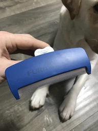 Фурминатор для собак с короткой шерстью FURminator размер L (691656) (811794929558/4048422141105) фото от покупателей 1