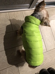 Двусторонняя курточка для собак Airy Vest для средних собак M 50 Черно-голубая (1632)
