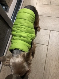 Двусторонняя курточка для собак Airy Vest для средних собак M 50 Черно-голубая (1632) фото от покупателей 1