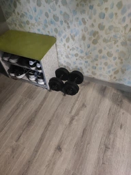 Гантель гумова PL 4,5 кг NE-PR-2019-45