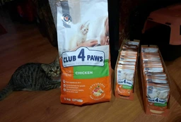 Вологий корм з куркою в соусі Club 4 Paws Клуб 4 Лапи для кошенят пауч 80 г 24 шт (4820083908927) фото від покупців 5