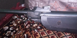 Пневматична гвинтівка Beeman 2060 фото від покупців 12