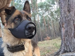 Намордник нейлоновый Collar DOGextreme №3 (лабрадор, доберман) (0611)