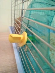 Тренажер колесо Savic Rolly 14 x 9.5 см (5411388001384)