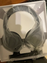 Навушники JBL Quantum 100 Black (JBLQUANTUM100BLK) фото від покупців 16