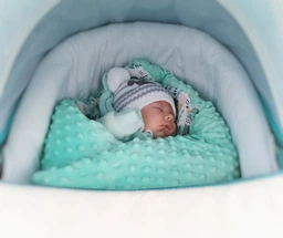 Демисезонный плюшевый конверт - одеяло на выписку BabySoon Мятные ежики 78 х 85 см (565) фото от покупателей 2