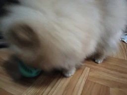 Игрушка для собак мяч бейсбольный со вкусом мяты 6СМ Trixie Mint фото от покупателей 5
