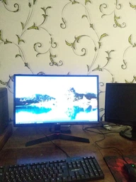 Монитор 23.8" LG 24MP59G-P