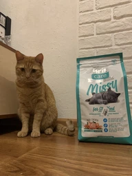 Корм для котів Brit Care Missy 2кг 132625/5739 фото від покупців 5