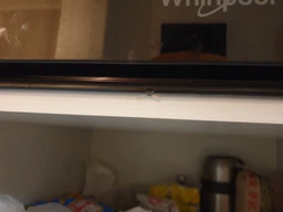 Духова шафа Whirlpool OAS KC8V1 BLG фото від покупців 16