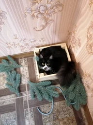Ящик деревянный ECO WoodBox (Ш/Д/В:23*25*15)