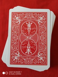 Карти гральні Bicycle Standard Rider Back