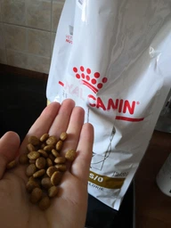 Сухий корм для дорослих котів ROYAL CANIN Роял канін URINARY S/O CAT 3.5 кг. фото від покупців 1