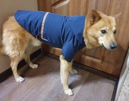 Дощовик з капюшоном для собак Noblepet Moss Blue, одяг для собак унісекс, M-Long (M4106/M-Long-Blue)