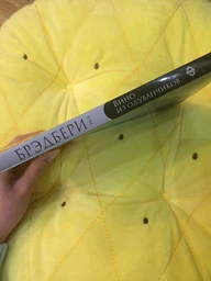 Вино из одуванчиков - Рэй Брэдбери (на русском языке) (9789669933638)