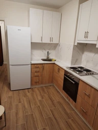 Холодильник Gorenje RK 6191 EW4 (RK6191EW4) фото від покупців 8