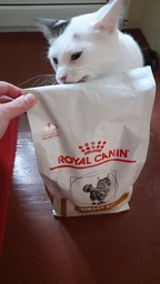 Сухий корм для дорослих котів ROYAL CANIN Роял канін URINARY S/O CAT 3.5 кг.