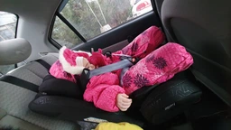 Автокрісло Lionelo Sander 0-36 кг Isofix Gray фото від покупців 4