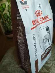 Сухой корм Royal Canin Gastrointestinal Low Fat Dog диетический для собак при расстройствах пищеварения 3кг фото от покупателей 12