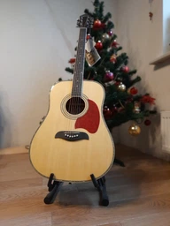 Акустична гітара Washburn OG2N