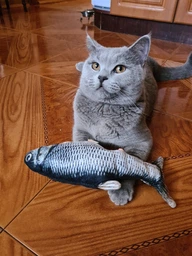 Іграшка для кота вібруюча жива риба CAPSBOARD FISH (340002) фото від покупців 11