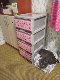 Комод VIOLET HOUSE 94х46х38 см (0352 Flamingo)